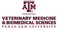 Texas A&M University
