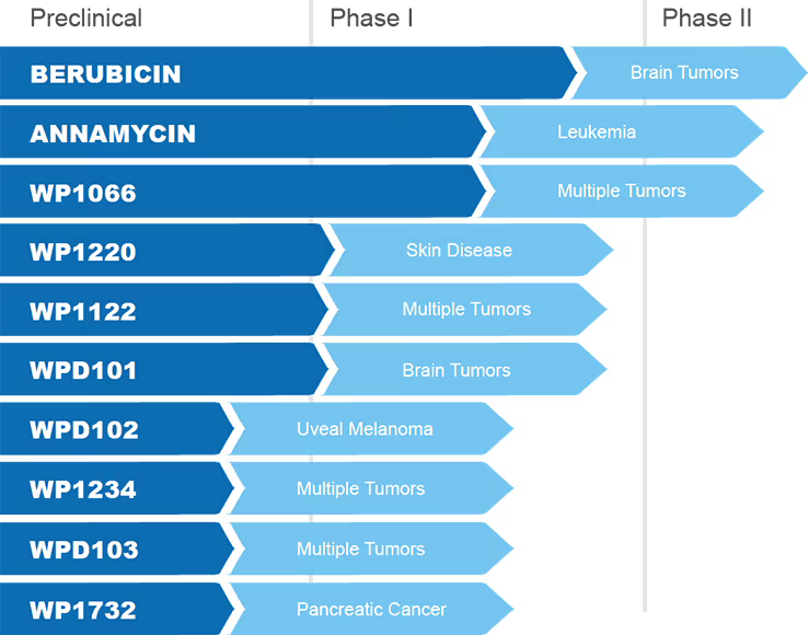 Pipeline chart. Berubicin: Phase II, brain tumors. Annamycin: Phase II, leukemia. WP1066: Phase I, multiple tumors. WP1220: Phase I, skin disease. WP1122: preclinical, multiple tumors. WPD101: preclinical, brain tumors. WPD102: preclinical, uveal melanoma. WP1234: preclinical, multiple tumors. WPD103: preclinical, multiple tumors. WP1732: preclinical, pancreatic cancer.